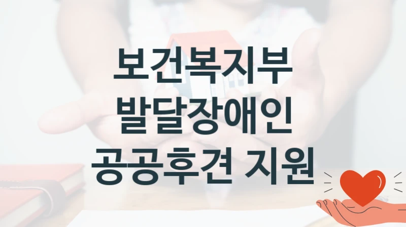 보건복지부 사회 복지 혜택 “발달장애인 공공후견 지원” – 접수 방법 및 지원 한도