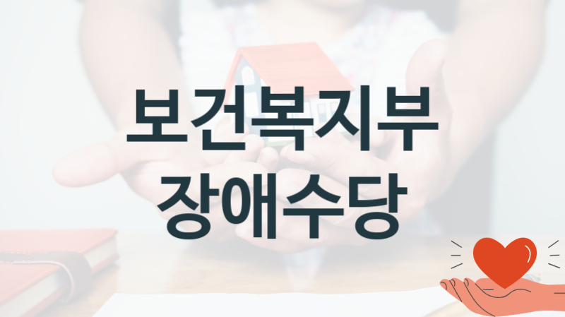 보건복지부
장애수당
