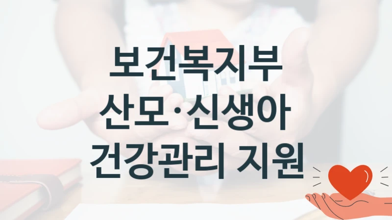 보건복지부, 산모·신생아 건강관리 지원 지원 정책정리, 신청 구비 서류와 일정
