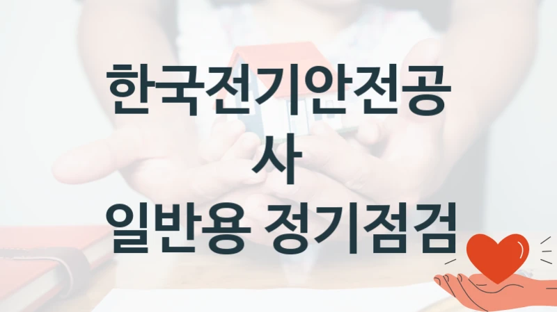한국전기안전공사
일반용 정기점검