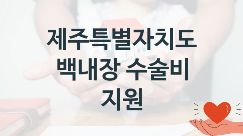 제주특별자치도 사회 지원 제도 “백내장 수술비 지원” – 신청 요건과 제출 서류