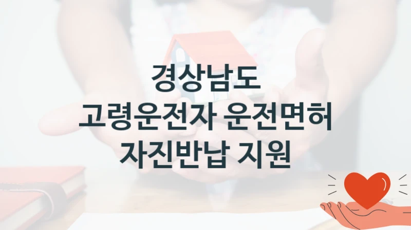 “고령운전자 운전면허 자진반납 지원” 복지 혜택 신청부터 지급까지 – 경상남도 지원 정책