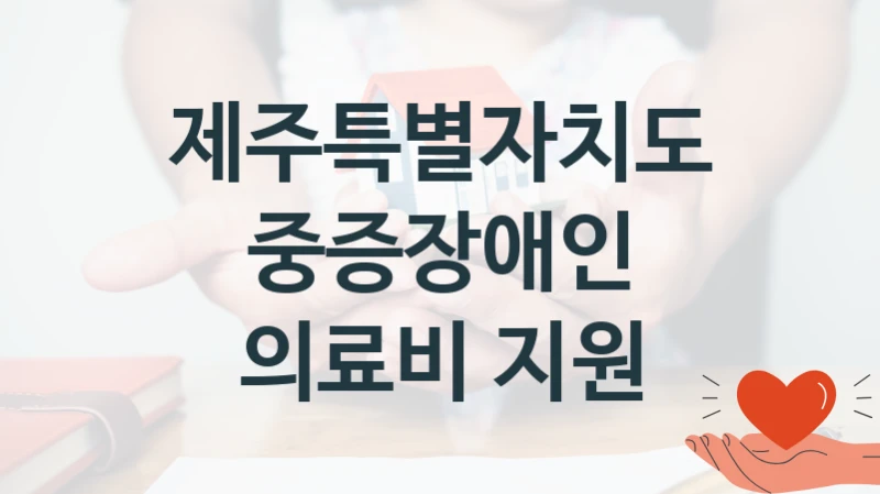 제주특별자치도
중증장애인 의료비 지원