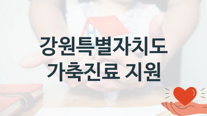 강원특별자치도 사회 지원 제도 “가축진료 지원” – 신청 요건과 제출 서류