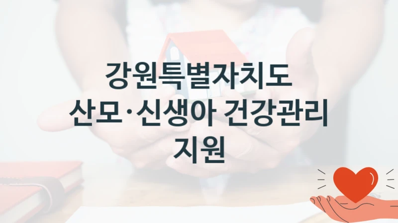 강원특별자치도
산모·신생아 건강관리 지원