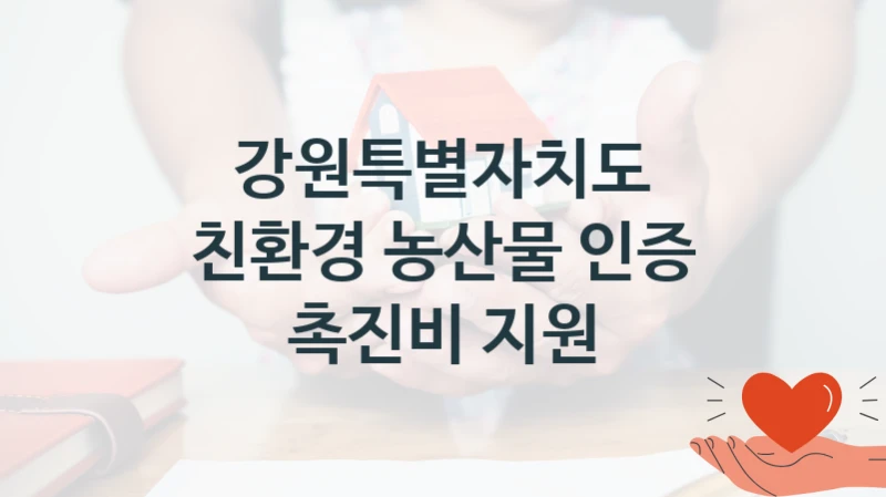 강원특별자치도 공공 지원 정책 “친환경 농산물 인증 촉진비 지원” – 신청 기준과 서류 준비