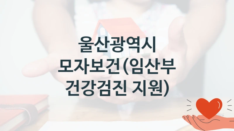 울산광역시
모자보건(임산부 건강검진 지원)