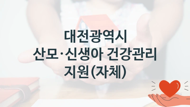 대전광역시
산모·신생아 건강관리 지원(자체)