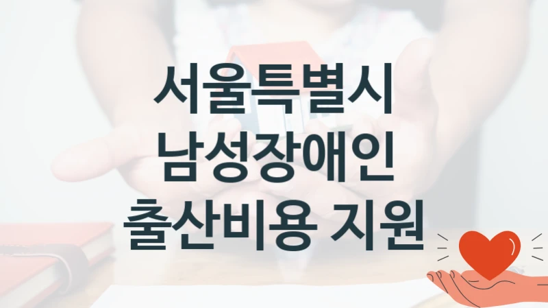 서울특별시
남성장애인 출산비용 지원