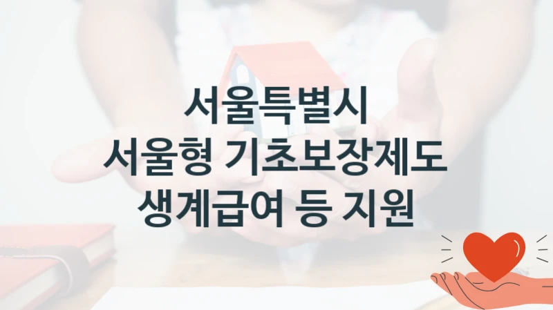 서울특별시
서울형 기초보장제도 생계급여 등 지원
