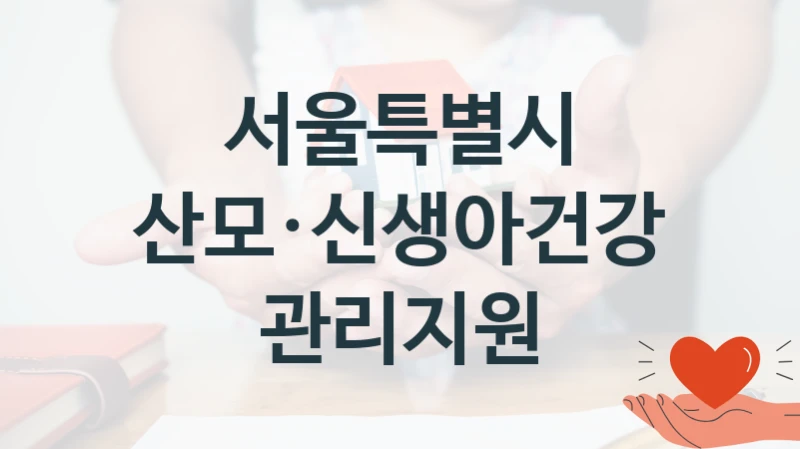 서울특별시
산모·신생아건강관리지원