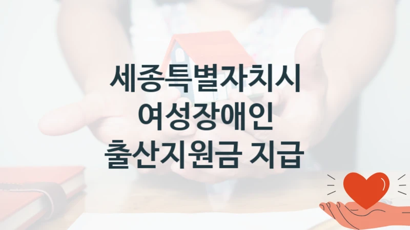 세종특별자치시
여성장애인 출산지원금 지급