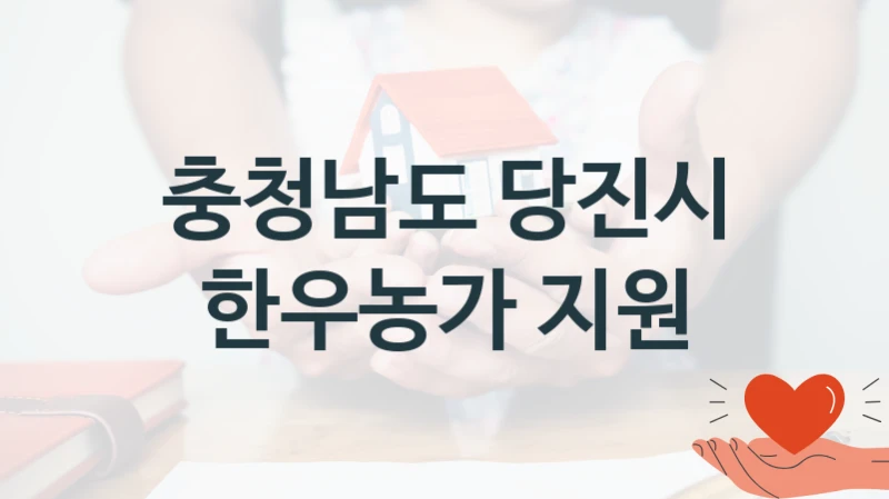 충청남도 당진시 복지정책 “한우농가 지원” 축산과 -신청 일정과 자격 조건