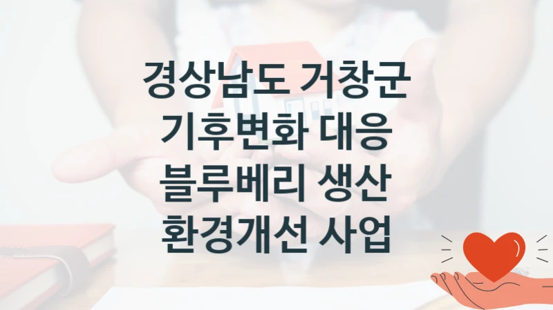 경상남도 거창군 “기후변화 대응 블루베리 생산 환경개선 사업” 지원사업 자격 조건과 신청 일정